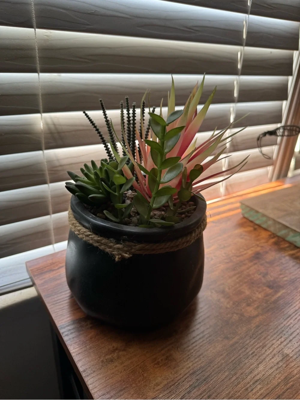 Artificial Succulent Arrangement in Black Rope-Trim Pot